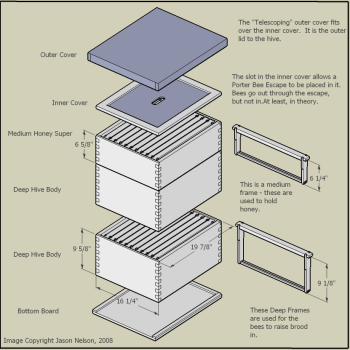 Diagram of the parts of a Langstroth hive, showing from top to bottom the outer cover, inner cover, medium honey super, deep hive body, and bottom board.