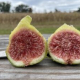 a fig cut in half, sitting outdoors