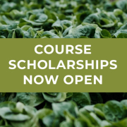 seedlings behind text course scholarships now open