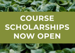 seedlings behind text course scholarships now open