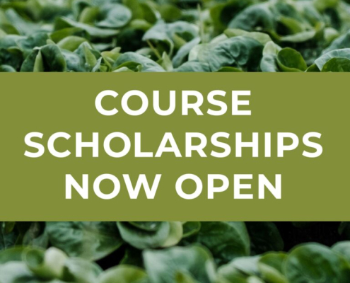 seedlings behind text course scholarships now open