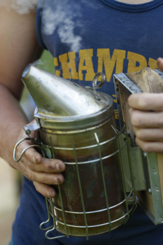 Close-up photo of a person holding a metal smoker used in beekeeping.