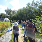 A tour group stands in a field of plants, listening to speaker, with trees and high tunnel in background.