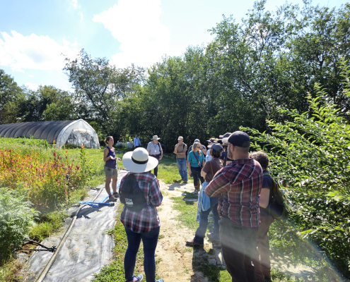 A tour group stands in a field of plants, listening to speaker, with trees and high tunnel in background.