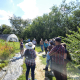 A tour group stands in a field of plants, listening to speaker, with trees and high tunnel in background.