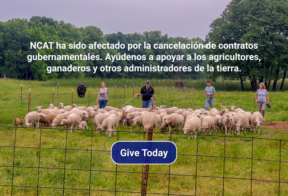 Campaña de otoño