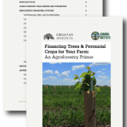 Cover of Financing Trees & Perennial Crops for Your Farm with photo of young tree in protective tube in field