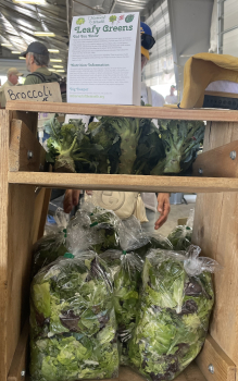 A display of bagged leafy greens at a farmers market with a Harvest of the Month sign displayed. 
