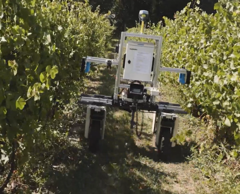 a robot moves among rows of grapevines