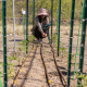 rows of plants, posts, and tubing, with a person crouched at the end holding monitoring equipment