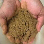 cupped hands holding a brown powder