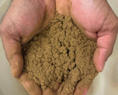 cupped hands holding a brown powder
