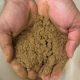 cupped hands holding a brown powder