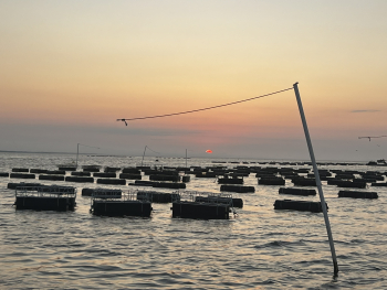 Rows of black floats sit on silver water, a pink and orange sunrise behind. 