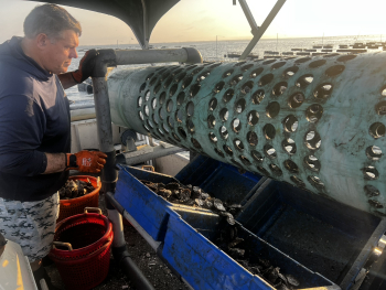 A man stands looking at a metal tumbler used to sort oysters by size. 