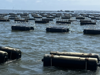 Black floating cages lined up in rows on the water. 