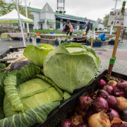 cabbages and red onions displayed in bins at a farmers market outdoors