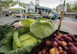 cabbages and red onions displayed in bins at a farmers market outdoors