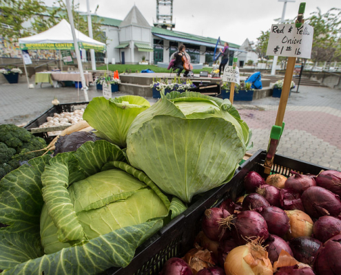 cabbages and red onions displayed in bins at a farmers market outdoors