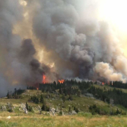 smoke and flames reach into the sky from conifer forested hill beyond grassy meadow