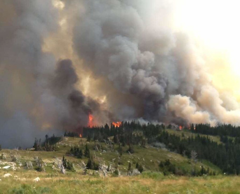 smoke and flames reach into the sky from conifer forested hill beyond grassy meadow