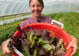 person standing in high tunnel, holding up large basket of lettuce