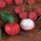 lychee fruit on a wooden background