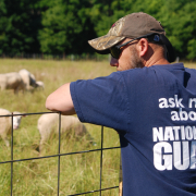 Man in National Guard t-shirt leans on fence overlooking field of sheep