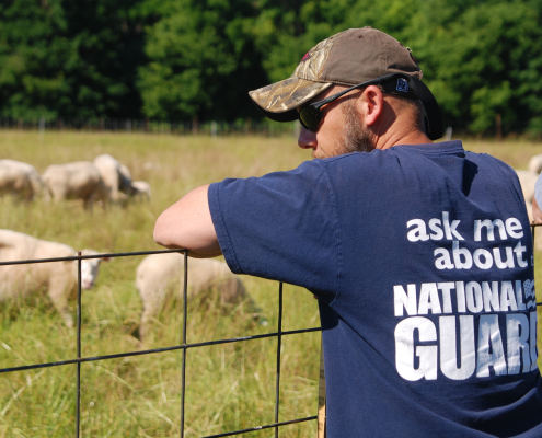 Man in National Guard t-shirt leans on fence overlooking field of sheep