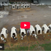 aerial view of calf huts, still image from video