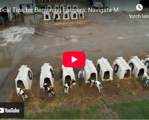 aerial view of calf huts, still image from video