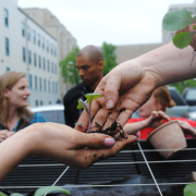 a kale seedling passes from one hand to another in front of an urban scene