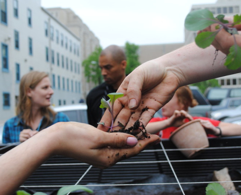 a kale seedling passes from one hand to another in front of an urban scene