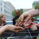 a kale seedling passes from one hand to another in front of an urban scene