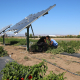 farmworkers in shade of solar panels