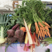 vegetables displayed on a table