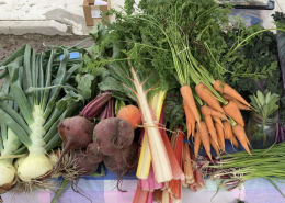 vegetables displayed on a table