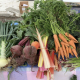 vegetables displayed on a table