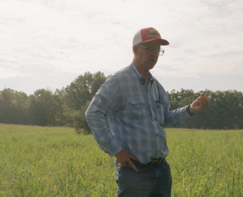 person standing outdoors in a green field