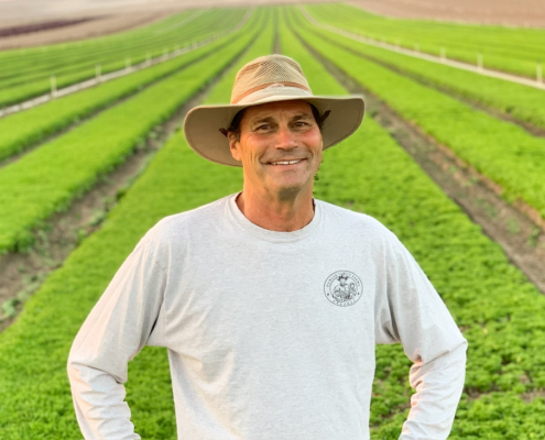 Man in hat against background of green plants in rows.