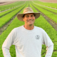 Man in hat against background of green plants in rows.