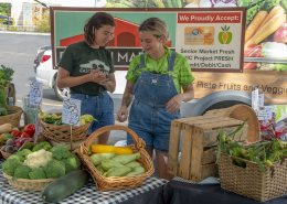 two people stand behind displays of vegetables at a farmers market booth.