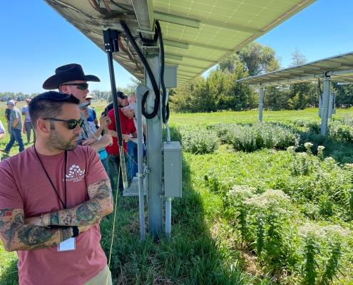 people touring an agrisolar site stand under solar panels among plants
