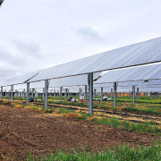 rows of solar panels over empty garden plots under gray sky