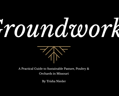 Groundwork title and logo