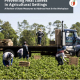 report cover shows farmworkers and truck in field