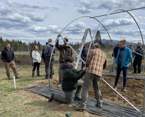 A crowd watches while two people assemble the frame of a high tunnel outdoors