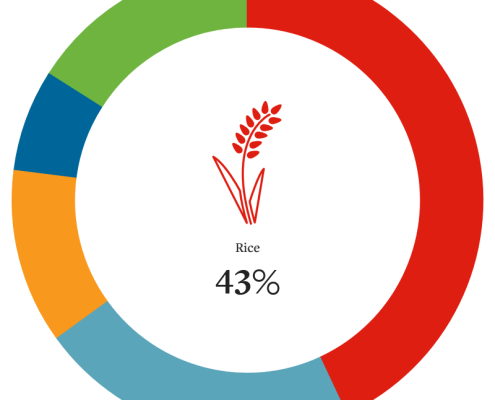 multicolored circular graph showing rice emissions as 43% of total.