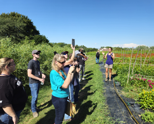 an audience stands at the edge of a field of flowers, listening to a speaker