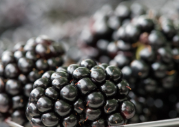 closeup of blackberries